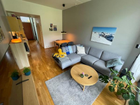 Cozy 1-bedroom in quiet Ilsvika